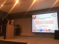 Cuba organizó el Seminario Internacional sobre "Adaptación, gestión de riesgos y desastres, de las carreteras y de las organizaciones de carreteras ante el cambio climático"