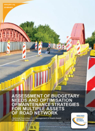 Assessment of budgetary needs and optimisation of maintenance strategies for multiple assets of road network