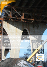 Inspections and Damage Assessment Techniques - Case Studies